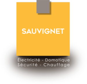 Electricien Lyon Sauvignet Elec Logo