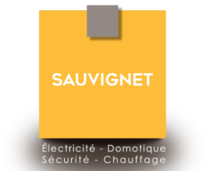 Electricien Lyon Sauvignet Elec Logo
